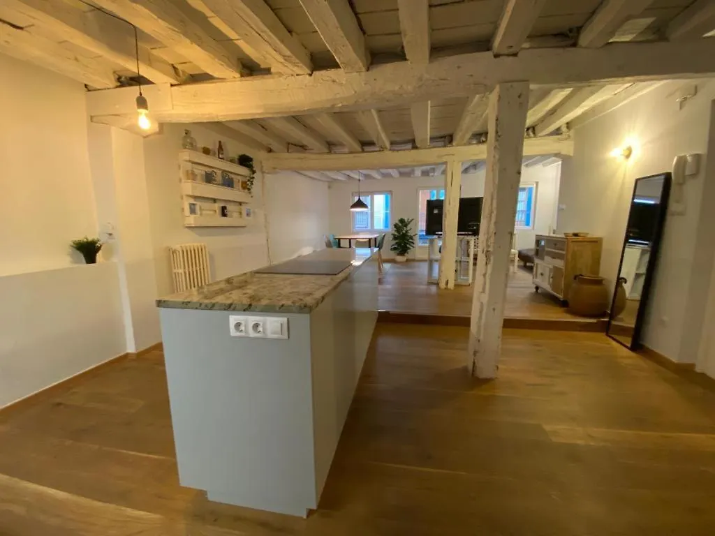 Old Town Apartment Bilbao